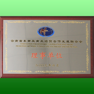 云南省东南亚经贸合作发展联