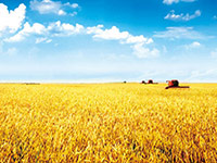 全球农业发展新趋势新态势