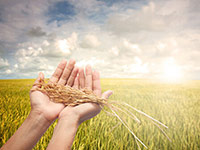 加强我国畜牧产品质量安全监